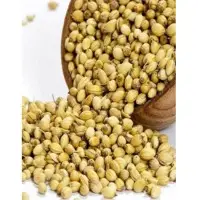 Coriander Seeds