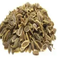 Dill Seeds