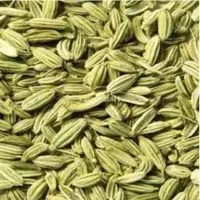 Fennel Seeds
