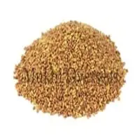 Alfalfa Grass Seed