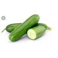 Cucumber