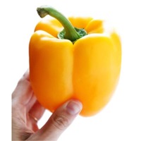 Bellpeper