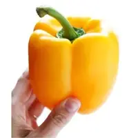 Bellpeper