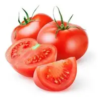 Fresh Tomato