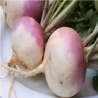 Turnips