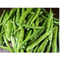 Cluster Beans