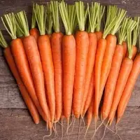 Fresh Carrot