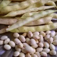 Fresh Butter Beans