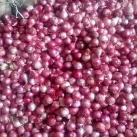 Fresh Shallot/Sambar Onion
