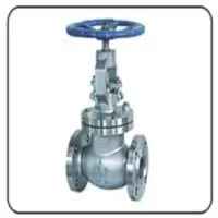 Globe Valve