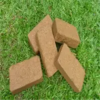 Coco Peat Products