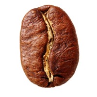 Arabica Coffee