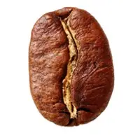 Arabica Coffee