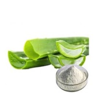 Aloe Vera Powder