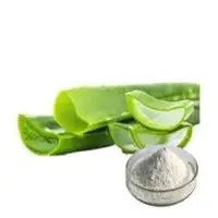 Aloe Vera Powder