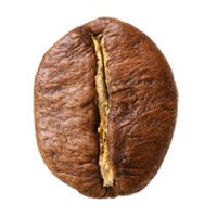 Robusta Coffee