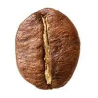 Robusta Coffee