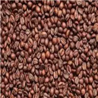 Robusta Coffee Beans