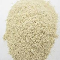 Garlic Extract