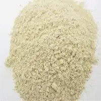 Garlic Extract
