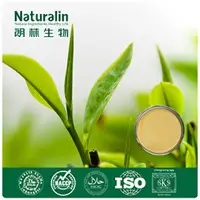 Green Tea Extract