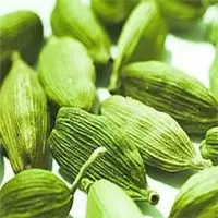 Cardamom Guatemala
