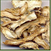 Angelica Root Oil