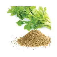 Celery Seed Essential Oil