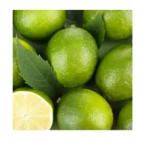 Lime Oil