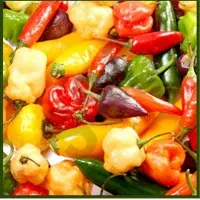 Red Chilli Oleo