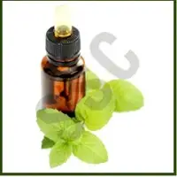 Mint Oil