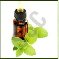Menthol Oil