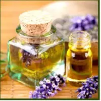 Lavender T Oil
