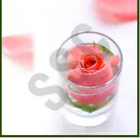 T. Rose