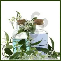 Jasmine & Sandal Body Massage Oil