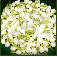 Attar Jasmine