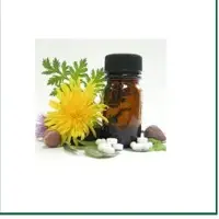 Calamus Oil