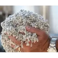 Cotton Seed