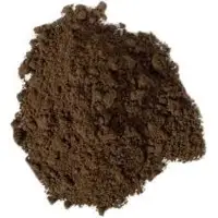 Raw Umber