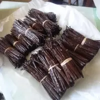Vanilla Beans