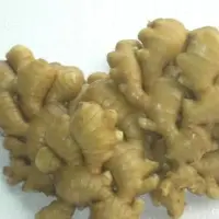 Fresh Ginger