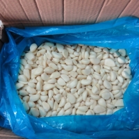 IQF Frozen Garlic