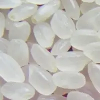 Round Grain White Rice