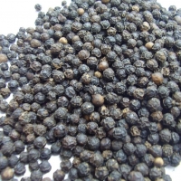 Black Pepper 570G/L