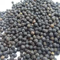 Black Pepper 570G/L