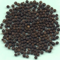 Black Pepper 550g
