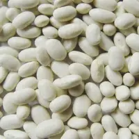 White Kidney Beans