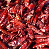 Chili Dried Pepper