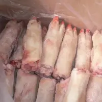 Frozen Pork Front and Hind Feet