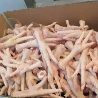 Processed Grade A Frozen Chicken Feet